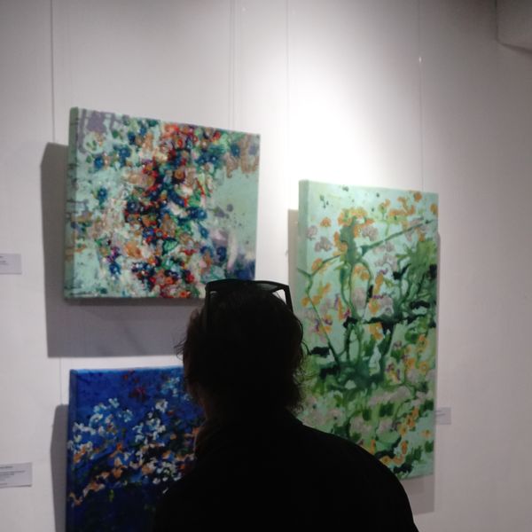A visitor studying a wall of colourful paintings